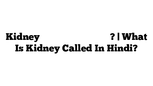 Kidney को हिंदी में क्या कहते हैं? | What Is Kidney Called In Hindi?